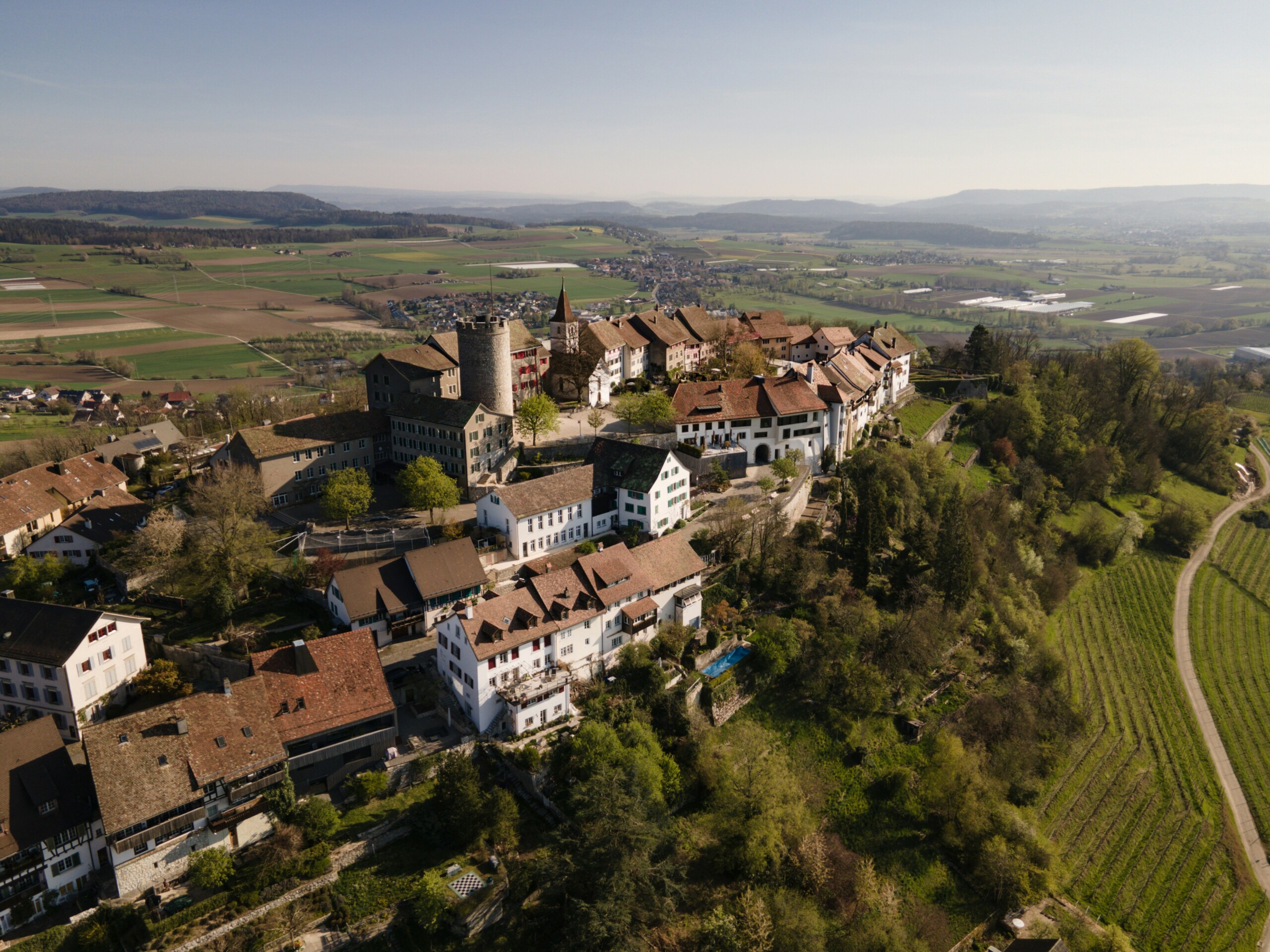 Regensberg kämpft ums Überleben