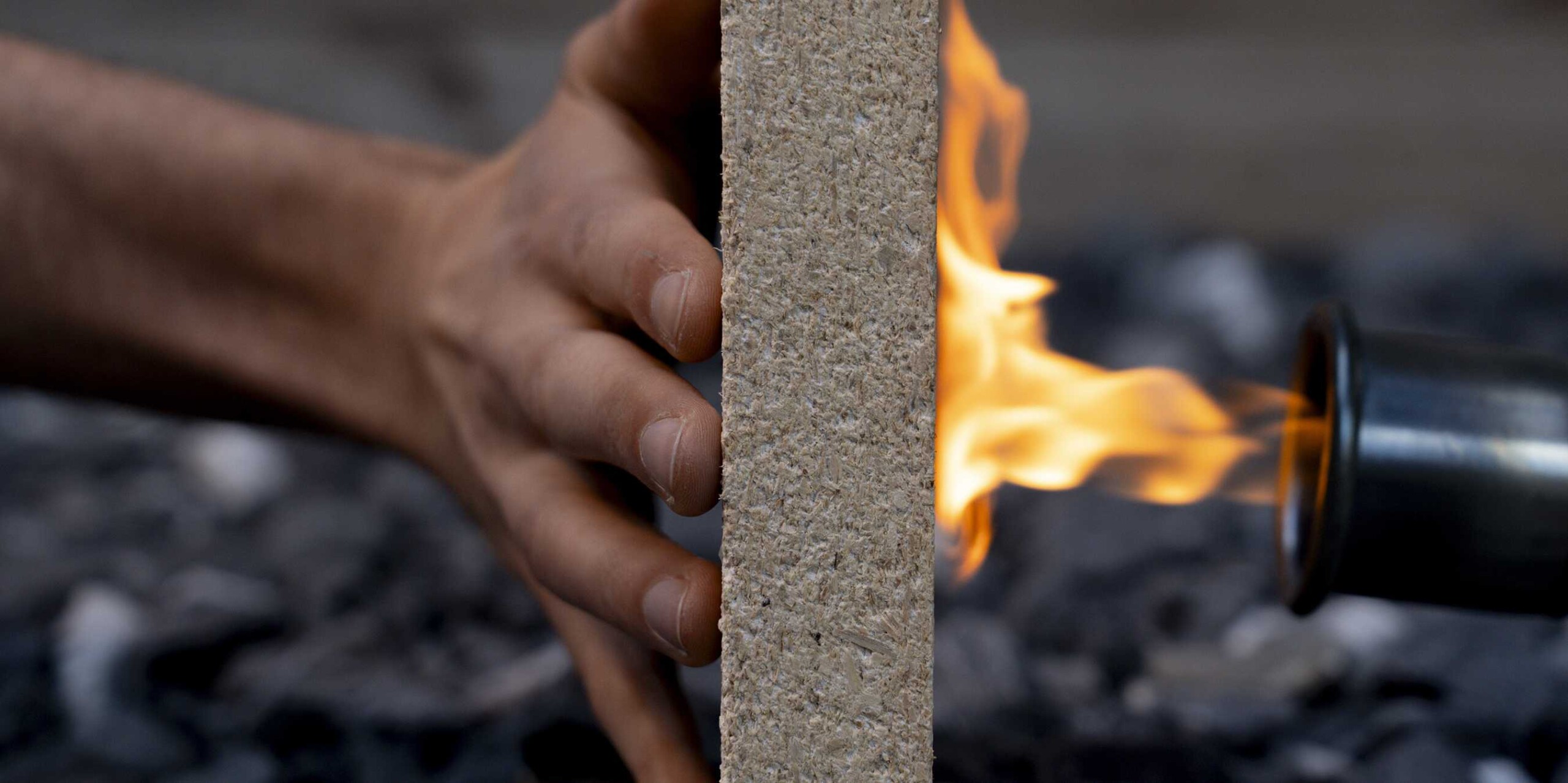 Das Holz, das sich selbst schützt